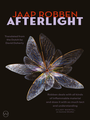 cover image of Afterlight
